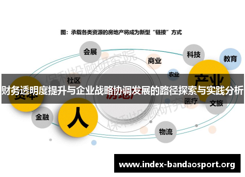 财务透明度提升与企业战略协调发展的路径探索与实践分析