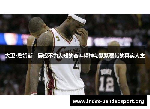 大卫·詹姆斯：展现不为人知的奋斗精神与默默奉献的真实人生