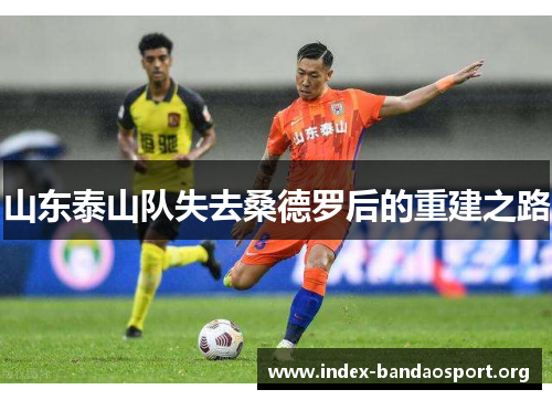山东泰山队失去桑德罗后的重建之路