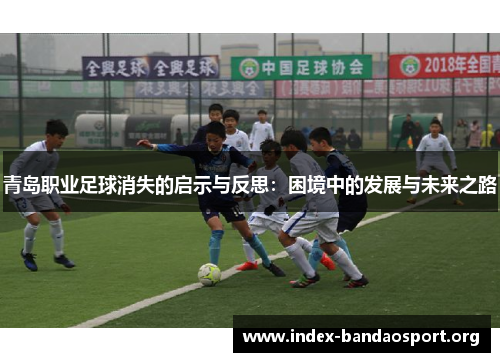 青岛职业足球消失的启示与反思：困境中的发展与未来之路