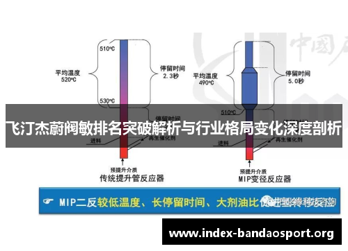 飞汀杰蔚阀敏排名突破解析与行业格局变化深度剖析